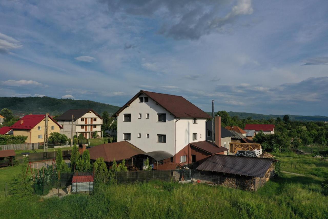 Pensiunea Lacul Albesti Albestii Paminteni Exterior photo